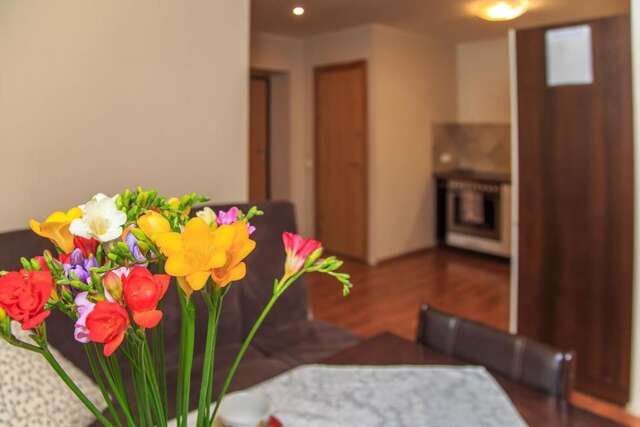 Апартаменты Laisves 91 apartaments Вильнюс-41
