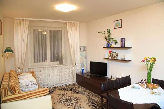 Апартаменты Laisves 91 apartaments Вильнюс-43